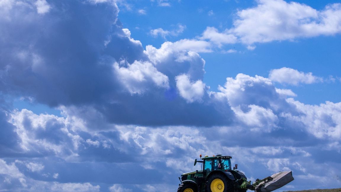 Es lohnt sich oft nicht: Die Produktionskosten für Agrarprodukte liegen teils über den Verkaufspreisen. (Archivbild)