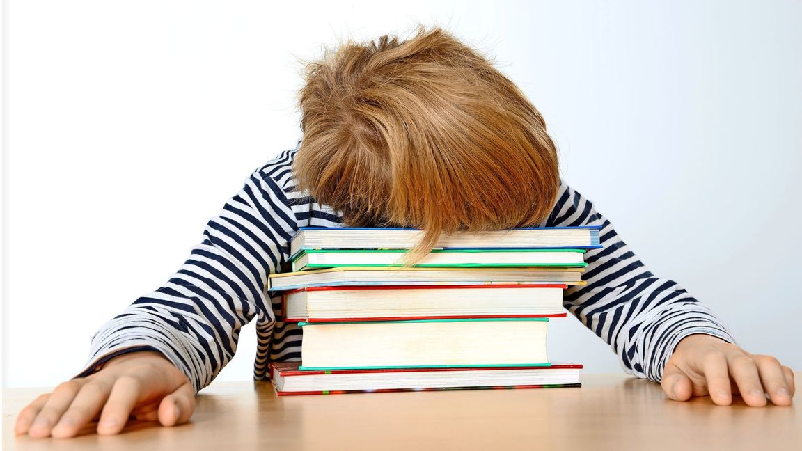 Und weg war sie, die Lust aufs Lernen