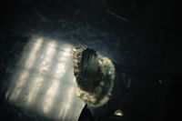 Viel zu entdecken gab es bei der Langen Nacht der Museen.