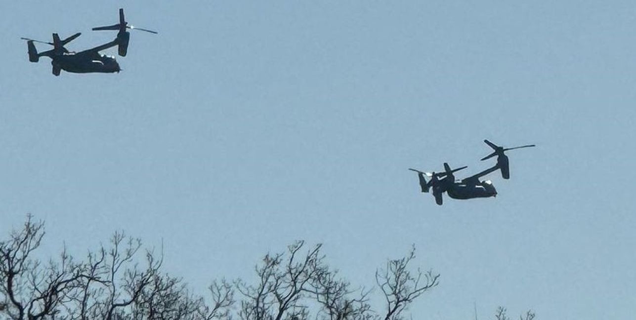 Zwei Fischadler der US-Army kreisen über Sindelfingen.Bild: Heimann