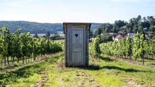 Wasser oder Toilettenpapier? Bei dieser Frage scheiden sich nicht nur wissenschaftlich die Geister. (Illustration)