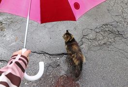 Kommt der Sommer bald wieder?
