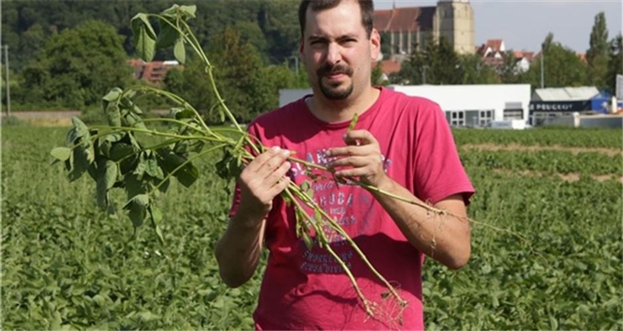 Daniel Dengler, Vorsitzender des Kreisbauernverbands Böblingen. Bild: Bäuerle