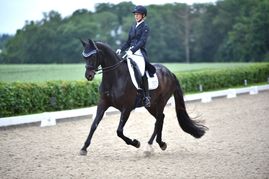 Jessica Rauskolb und ihr Dressurpferd Dare2Dream in Aktion.