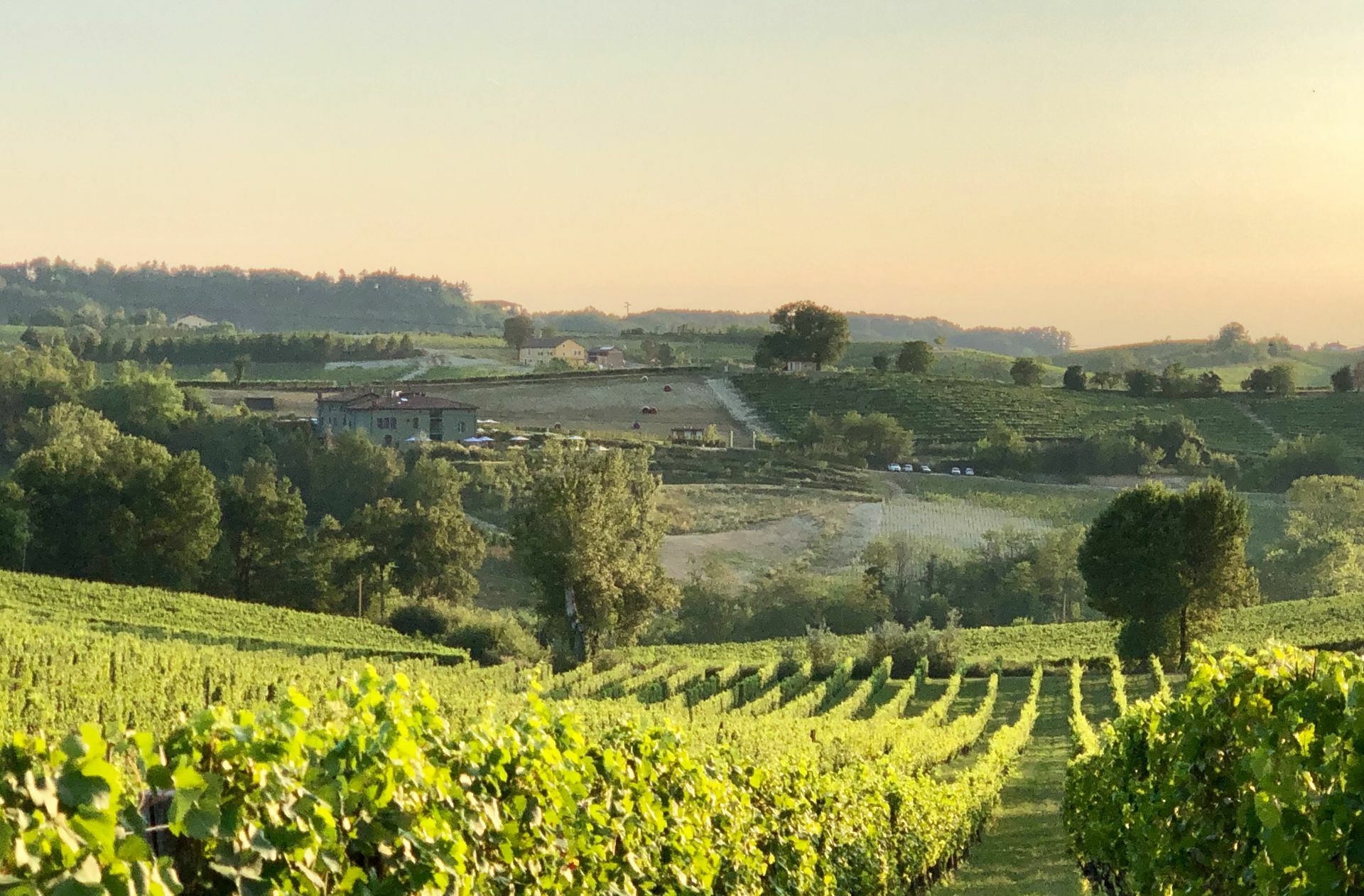 2002 erwarb der Mailänder Unternehmer Giorgio Rossi Cairo das Weingut La Raia mit 45 Hektar Weinbergen, die heute biodynamisch bewirtschaftet werden, also nach der Philosophie des Anthroposophen Rudolf Steiner. Dabei wird besonderer Naturdünger verwendet und auf die Mondphasen geachtet.