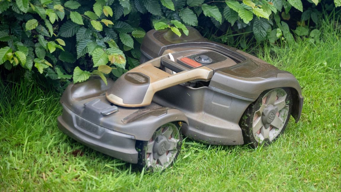 Mähroboter sind vielen Gartenliebhabern lieb als Helfer. Doch sie sind gefährlich für Wildtiere. (Symbol-Foto).