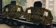 Die beiden Goldmedaillen auf dem Fensterbrett.
