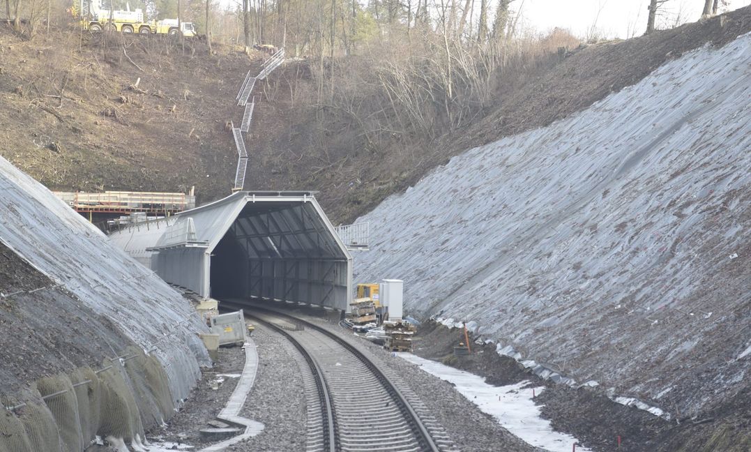 Auf beiden Seiten der historischen Tunnelröhren wurden zum Schutz der Fledermäuse 80 Meter lange Vorbauten angebracht und die Hänge zum Gleiskörper von Bäumen und Büschen befreit.