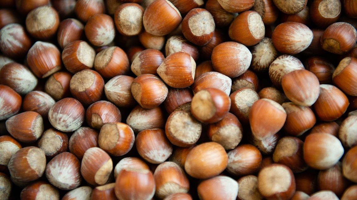 Die Haselsnussernte ist in Italien so schlecht ausgefallen wie seit Jahrzehnten nicht mehr. (Archivbild)