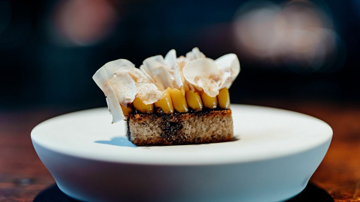 Zurecht ein so genannter Signature Dish: der Käsetoast im 100/200 in Hamburg mit hauchdünnen Champignons oben drauf.