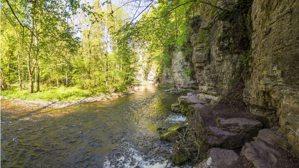 Ein großes Abenteuer: Die wilde Wutachschlucht im Schwarzwald.