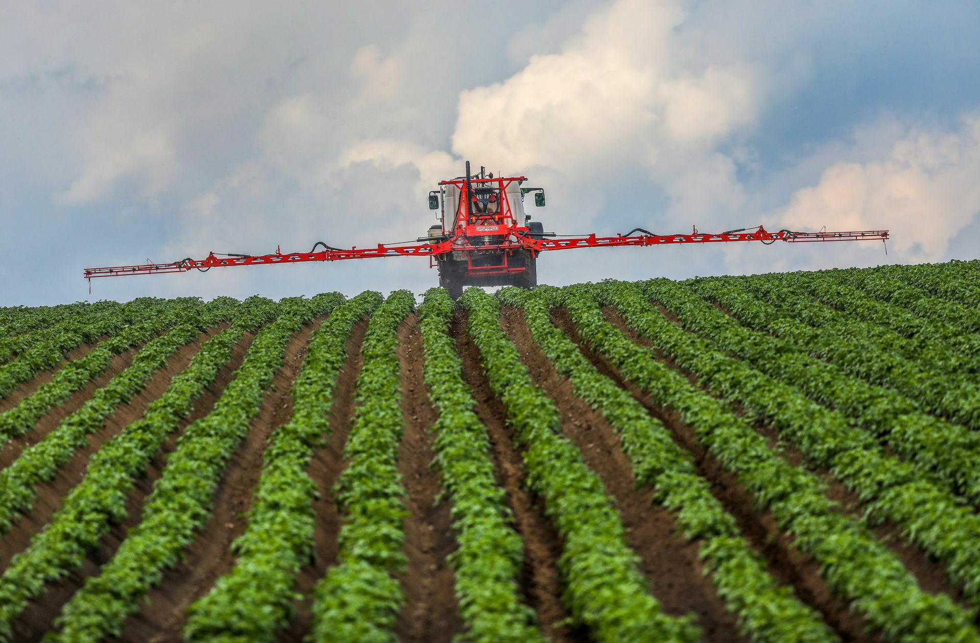 Die Flächen für die Landwirtschaft sollen in Deutschland und der EU eingeschränkt werden. Doch passt das angesichts des Krieges noch in die Zeit?