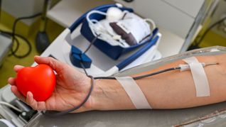 Wegen der Hitze wird weniger Blut gespendet (Symbolbild).