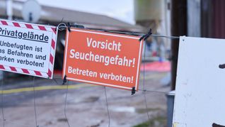 Nach dem Ausbruch der Maul- und Klauenseuche im brandenburgischen Hönow ist die Sperrzone mit Restriktionen für Landwirte aufgehoben (Archivbild).