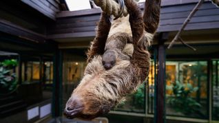 Auch damals hatte zuvor niemand die Schwangerschaft bemerkt.