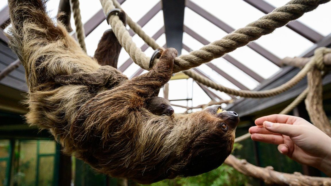 Die Mama nimmt das Ganze gelassen.