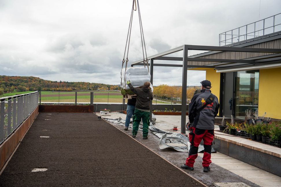 Der Rollrasen wird auf mehreren Flächen auf der Dachterrasse ausgerollt.