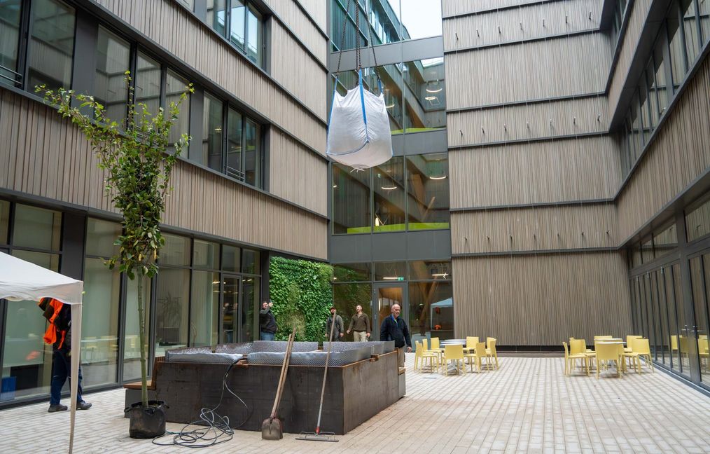 Insgesamt zehn solcher Säcke - gefüllt mit Lava und Erde - wurden in den Innenhof gehoben.