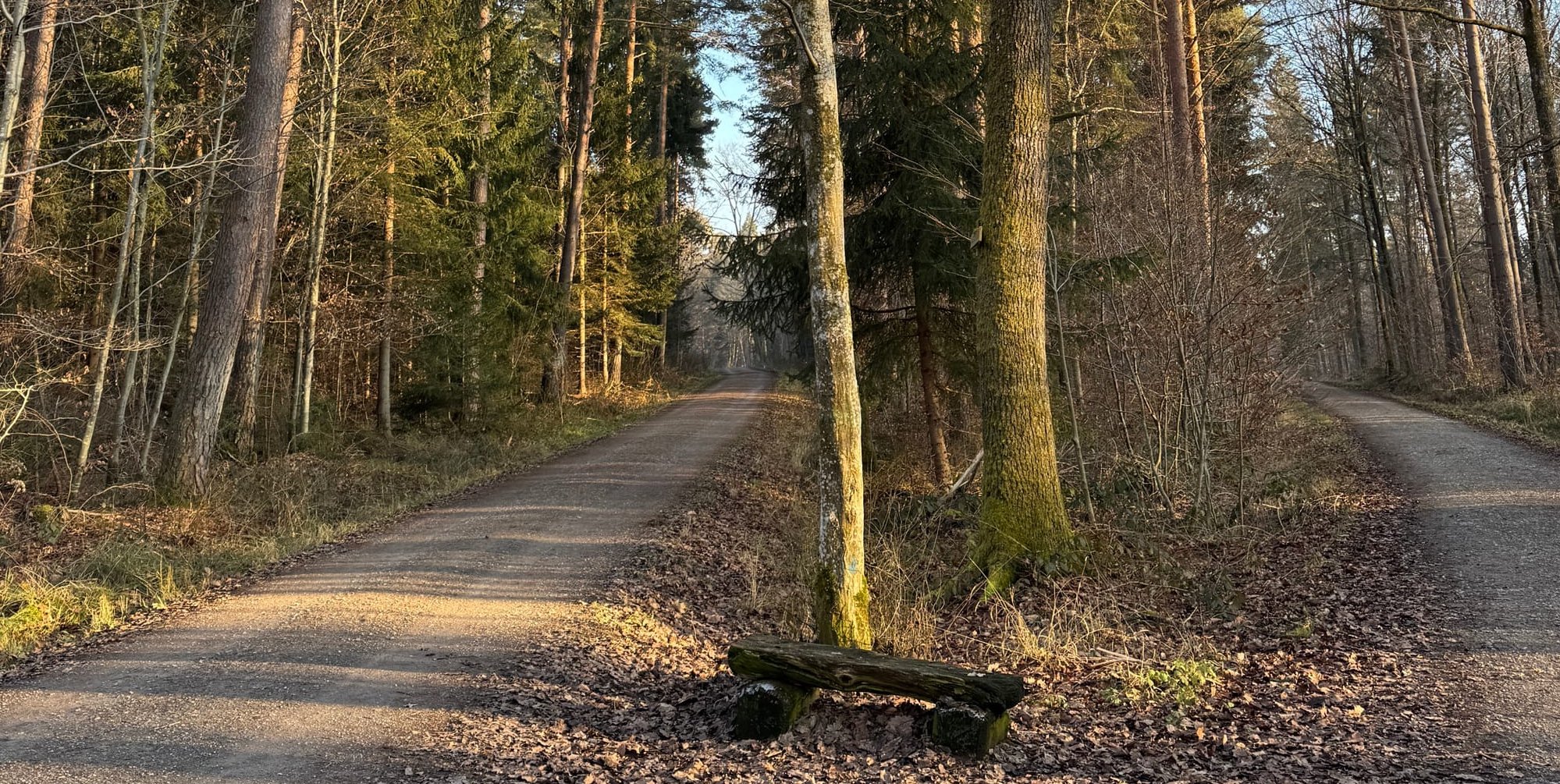 Im Wald darf nur auf Wegen über zwei Meter Breite mit dem Fahrrad gefahren und nur auf geeigneten Wegen geritten werden.