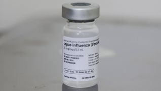 In Deutschland rät die Ständige Impfkommission (Stiko) unter anderem Menschen ab 60 Jahren, chronisch Kranken, Schwangeren, Bewohnern von Alten- und Pflegeheimen sowie medizinischem Personal zur Grippe-Impfung.