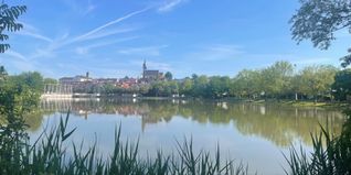Sieht vom Ufer schön aus, aber momentan sind die Böblinger Seen von Blaualgen befallen.