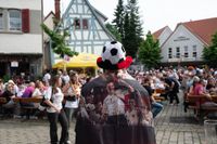 Deutschland gegen Spanien - die Bildergalerie vom Wettbachplatz
