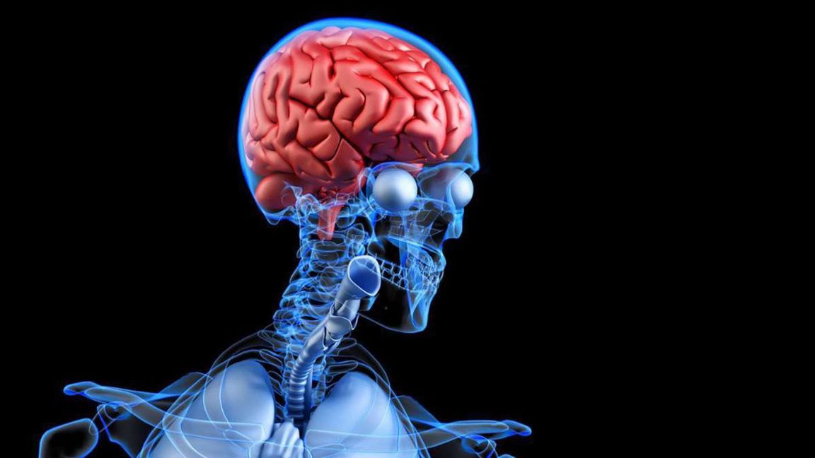 Alzheimer-Demenz ist bisher unheilbar. Mit Medikamenten kann die Krankheit kaum behandelt werden. Wissenschaft und Industrie forschen mit großem Aufwand, um endlich einen Durchbruch zu erreichen.