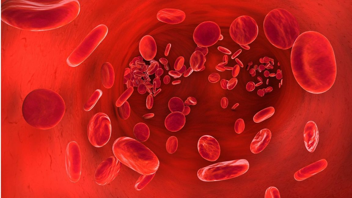 „Unsere Blutstammzellen konkurrieren ums Überleben. In der Jugend entsteht durch diesen Wettbewerb ein reichhaltiges, vielfältiges Ökosystem, während im Alter einige vollständig ausfallen“, heißt es in der Studie.