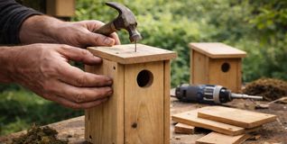 Beim Aktions-Sonntag im N.E.S.-Waldzentrum werden Nistkästen gebaut und Höhlenbrüter vorgestellt.