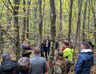 Beim Waldbegang waren die Gemeinderäte in relativ jungen Waldgebieten unterwegs. Bild: z