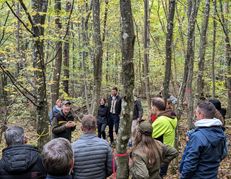 Beim Waldbegang waren die Gemeinderäte in relativ jungen Waldgebieten unterwegs. Bild: z