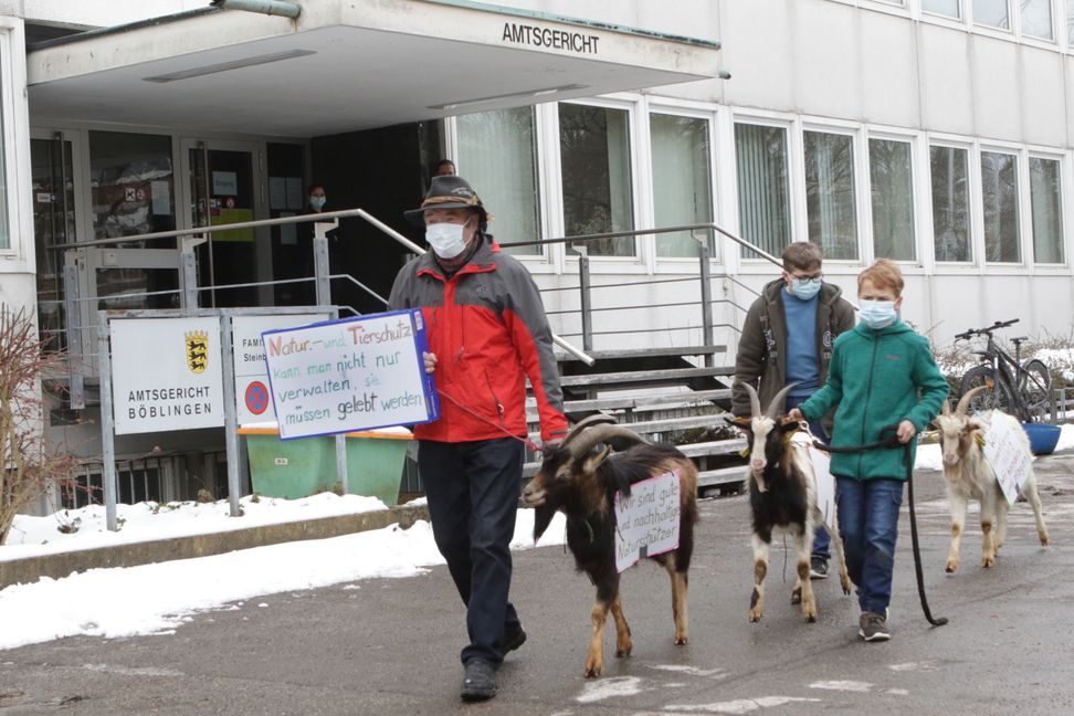Böblingen Amtsgericht hier Protest mit seinen Ziegen Willy Eipper aus Mönchberg 15.2.2021 Foto Bäuerle