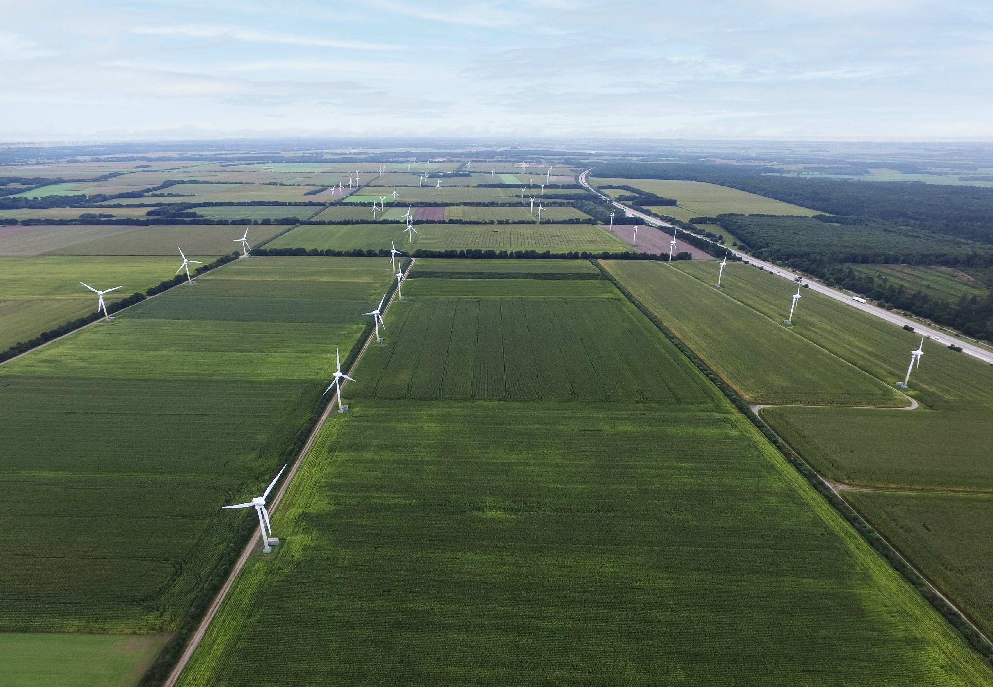 CDU, Freie Wähler und FDP wollen Windräder wie hier auf de Foto im Böblinger Wald verhindern. Bild: Mercedes Benz AG/Global Commun
