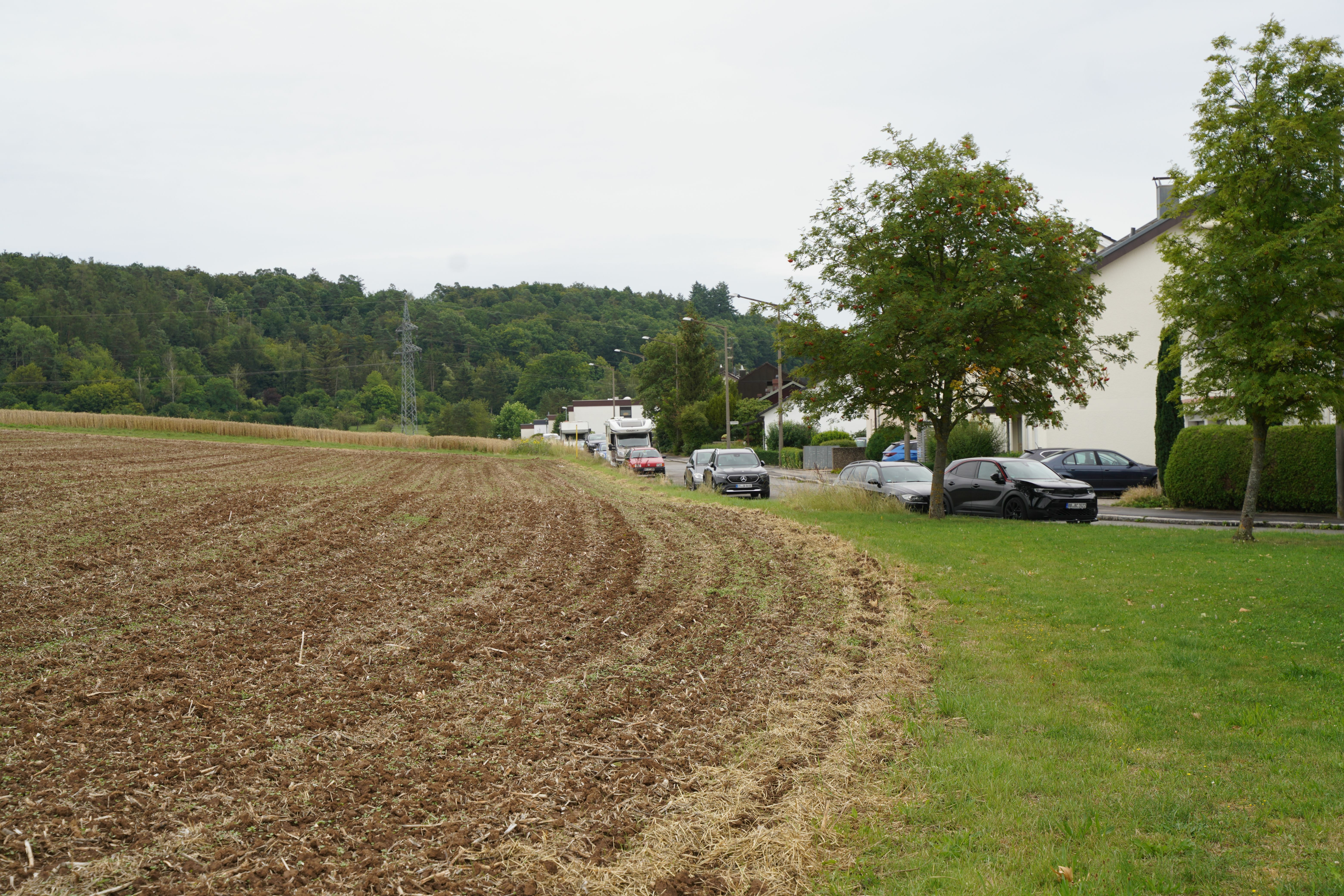 Dieses rund neun Hektar große Gebiet ist im Flächennutzungsplan als Wohnbaufläche ausgewiesen und seit über 40 Jahren als Potenzialfläche für die Magstadter Außenentwicklung im Gespräch. Bild: Dettenmeyer