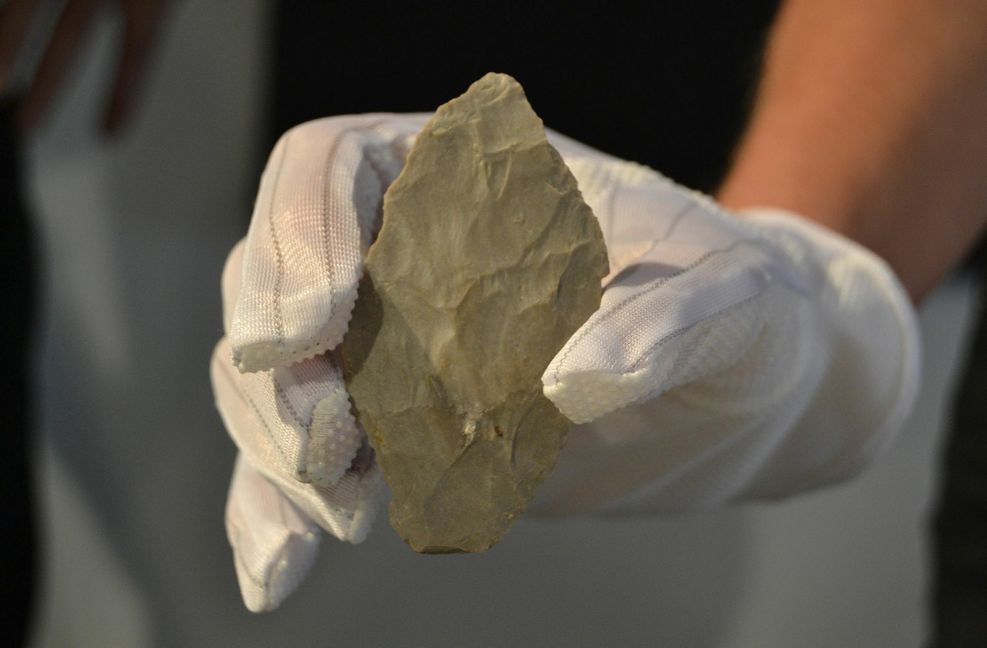 Der 7,6 Zentimeter lange Fund soll mehr als 65 000 Jahre alt sein.
 Foto: dpa/Frederick Mersi