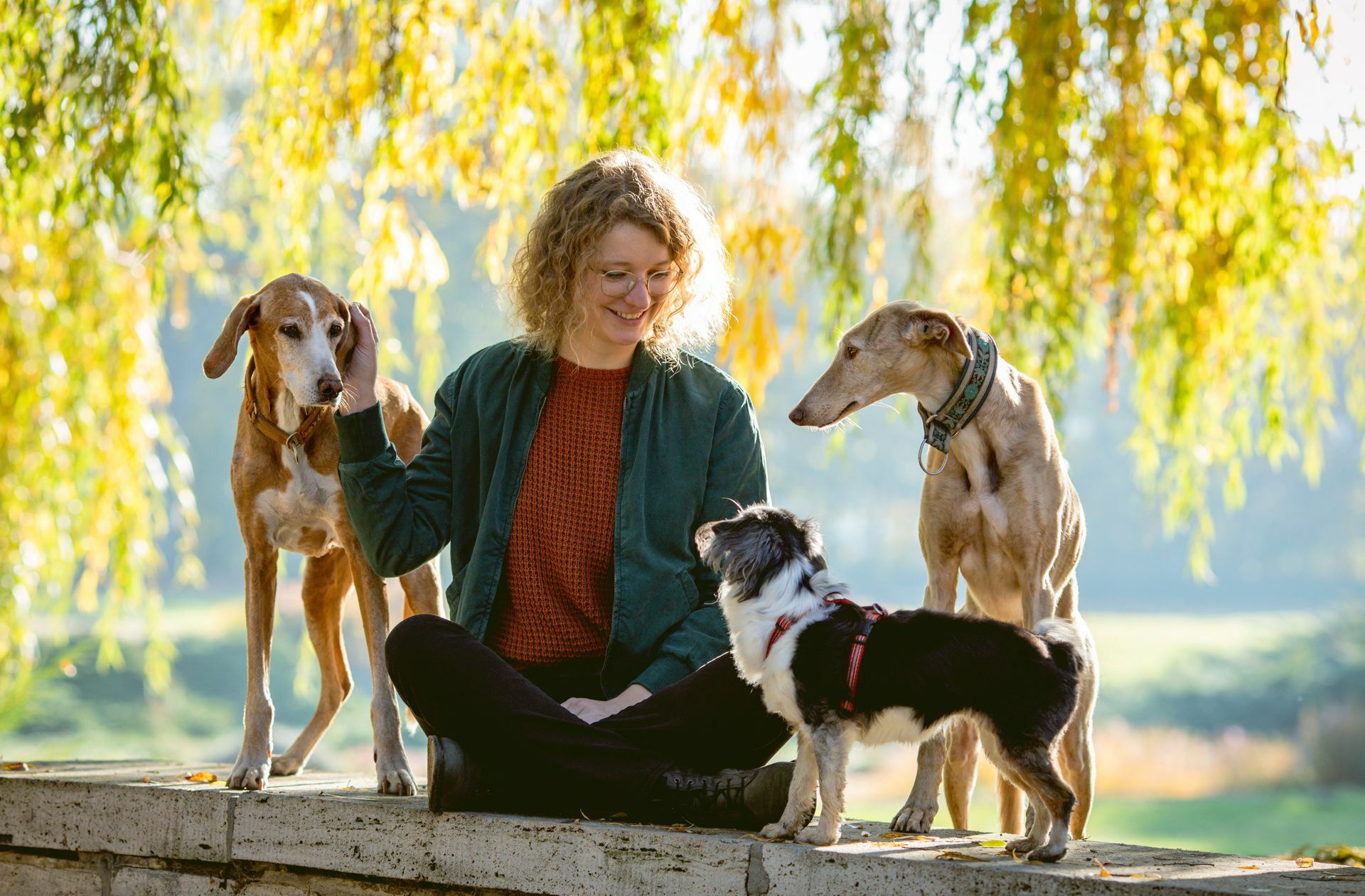 Hunde können uns glücklicher und entspannter machen.