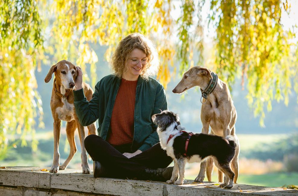 Hunde können uns glücklicher und entspannter machen.