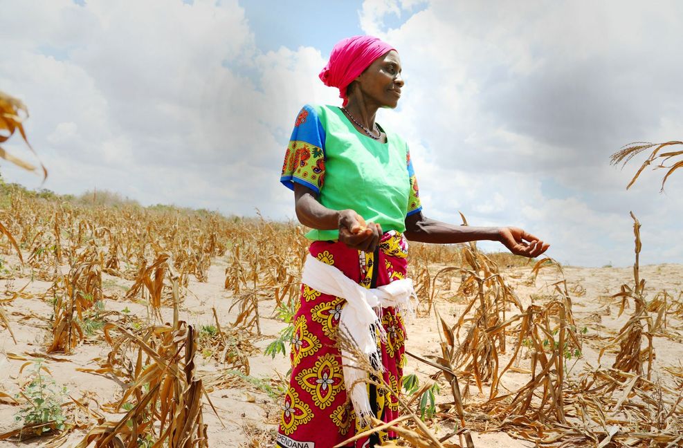 Der Krieg hat mehr als 30 Millionen Afrikaner in den Hunger getrieben – zusätzlich zu den 300 Millionen, die schon vorher nicht genug zu essen hatten.
