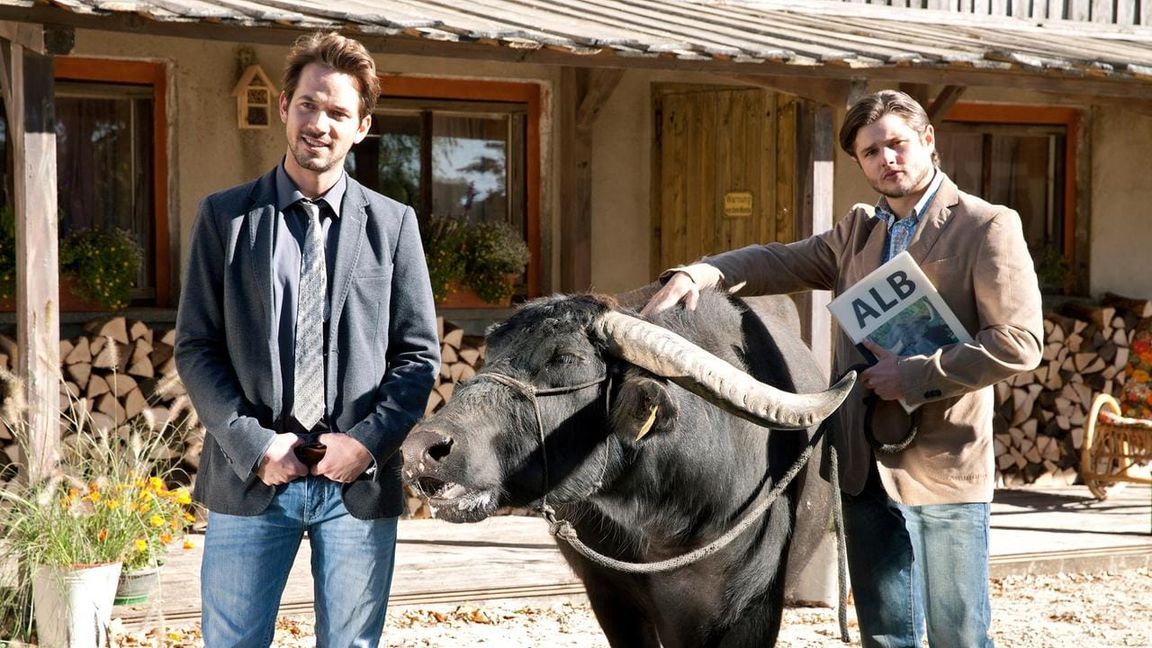 Die Brüder Max und Konrad Wolf brauchen Weideland für ihre gehörten Vierbeiner auf der Alb.