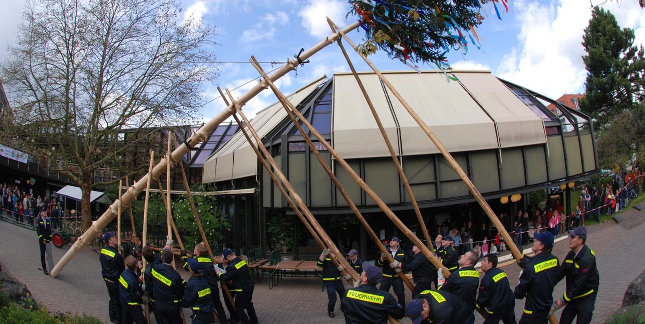 Immer wieder ein sehenswertes Spektakel: das Maibaumstellen der Feuerwehr vor dem Maichinger Bürgerhaus.