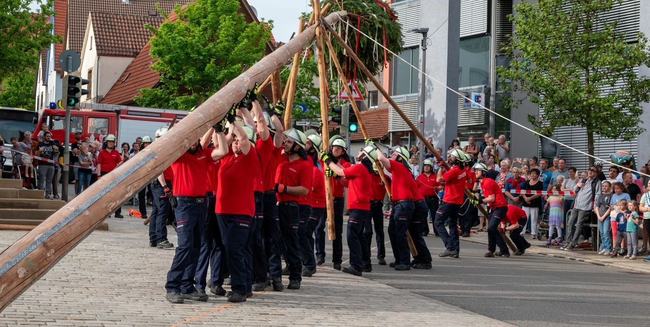 Stück für Stück wird in Holzgerlingen mit Stangen der Baum in die Höhe gebracht.