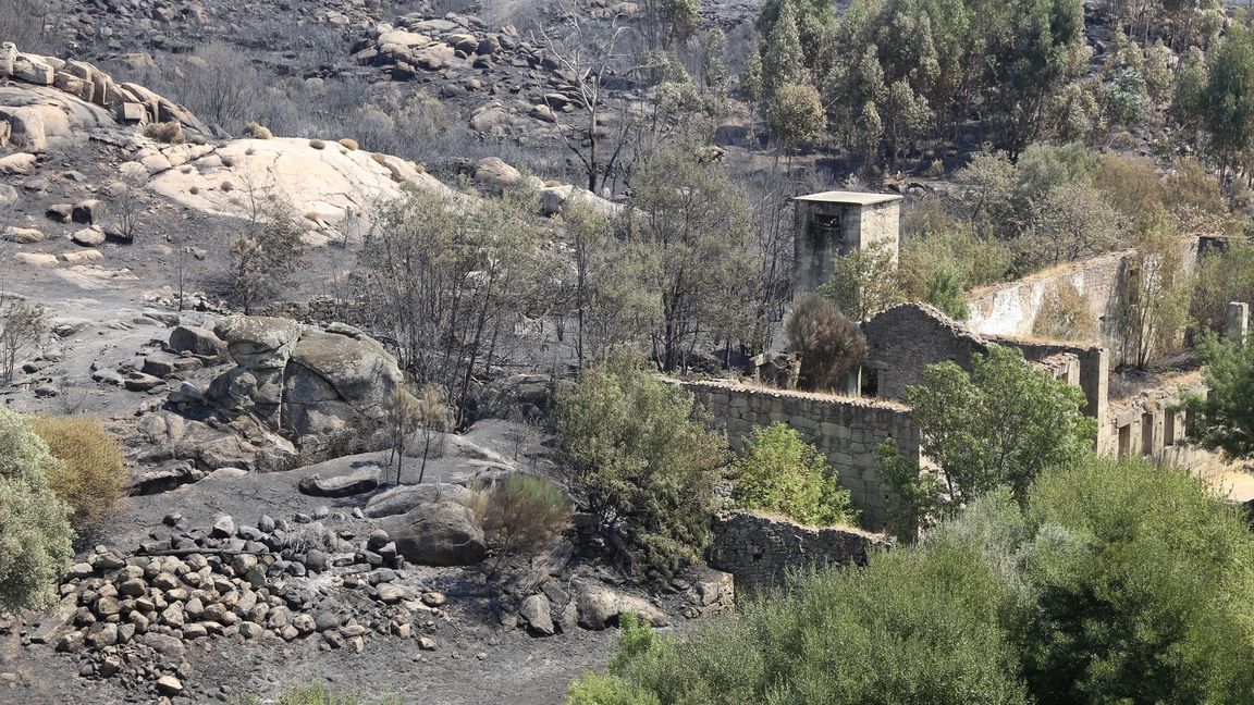 Die Zahl der Todesopfer der verheerenden Waldbrände ist in Portugal gestiegen. Historische Dörfer mussten evakuiert werden.