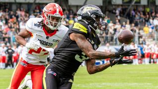 Perfekte Aktion: Mike Harley Jr., Wide Receiver von Stuttgart Surge, fängt den Ball in der Endzone.