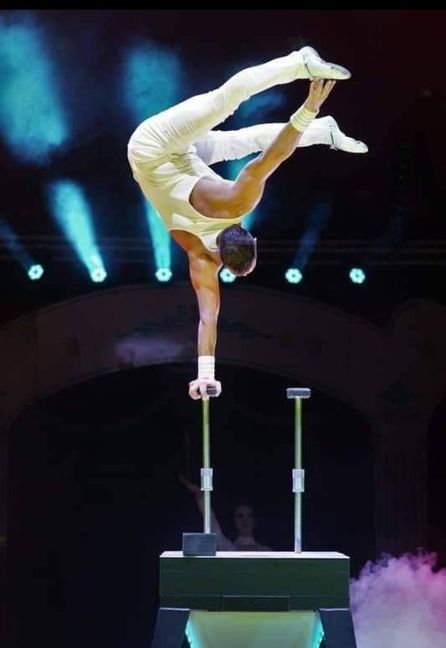 Der Herrenberger Weihnachtscircus setzt auf außergewöhnliche Artistik.