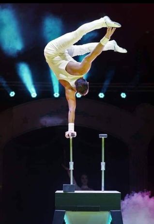 Der Herrenberger Weihnachtscircus setzt auf außergewöhnliche Artistik.