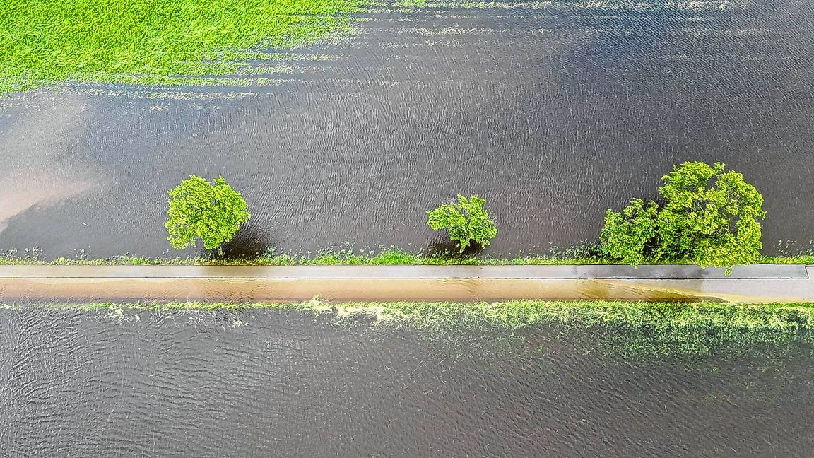 Ganze Wiesen und Felder sind nach den anhaltenden Regenfällen überschwemmt. Das hat auch Folgen für die Landwirtschaft.