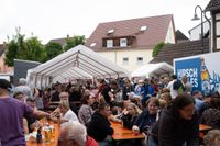 Volle Gassen beim Döffinger Vatertagsmarkt