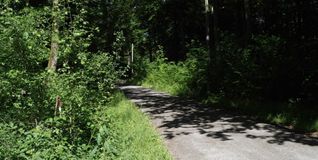 Die Leiche einer Frau wurde letztes nahe des Radschnellwegs am Mönchbrunnen gefunden. Das war zum Glück eine große Ausnahme.