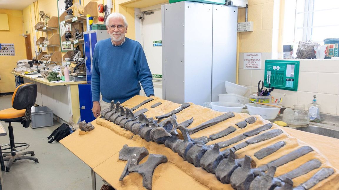 Jeremy Lockwood mit Fossilien von Istiorachis macarthurae