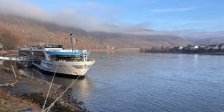 Die Viva One hat in Boppard festgemacht.